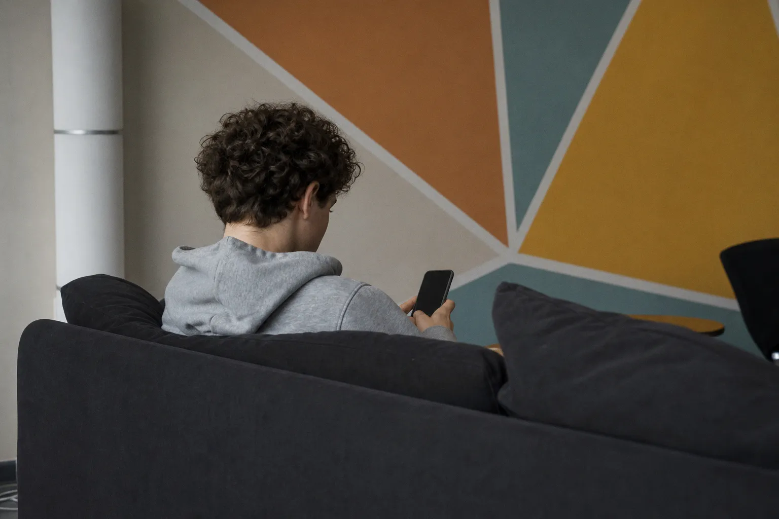 Réseaux sociaux : les enjeux de l'interdiction pour les moins de 15 ans en France
